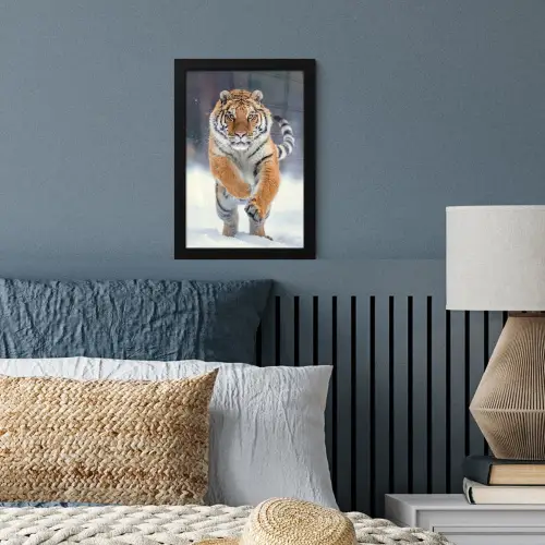 Tijger - Landschap - Sneeuw - Winter - Dieren fotolijst zwart zonder passe partout klein -sfeer3