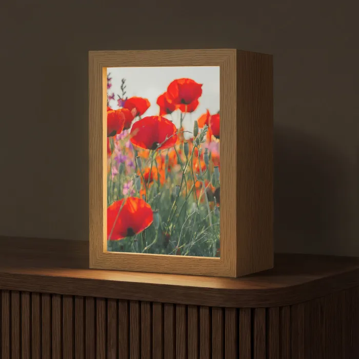 Klaproos - Bloemen - Rood - Paars - Weide Light Box met kabel (Tafellamp) klein -z3d_website