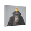 Chimpansee - Badeend - Grijs PET vilt klein -3d
