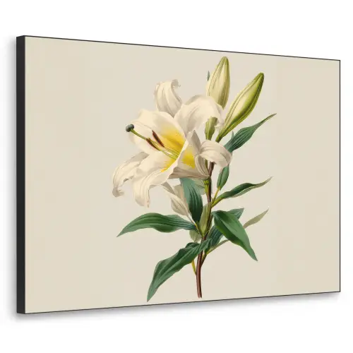 Lelie - Elegant - Botanisch - Beige Textielframe zwart klein -3d