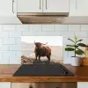 Schotse hooglander - Dieren - Landelijk - Landschap - Koe - Natuur keuken achterwand spatscherm klein -sfeer2