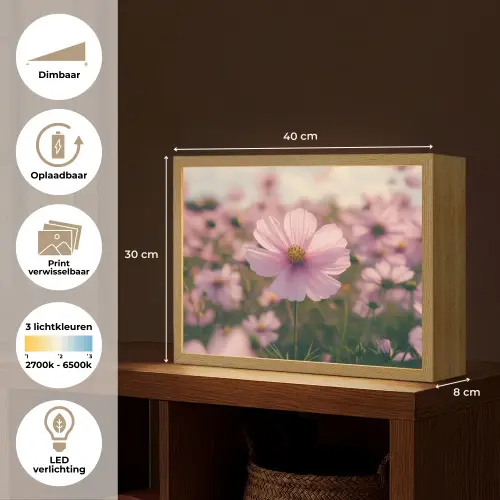 Bloemen - Paars - Wazig Light Box met batterij (Wandlamp) middel -USP_websiteoverzichtNL