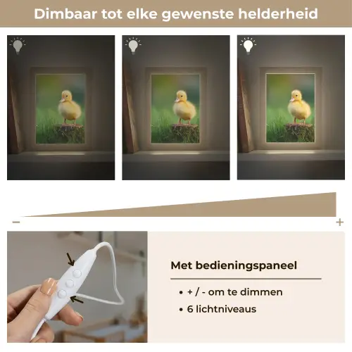 Kuiken - Eend - Geel - Gras Light Box met kabel klein -USP_dimbaarNL