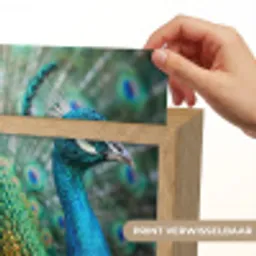 Pauw - Veren - Blauw Light Box met kabel (Kinderlampje) klein -USP_websiteprintNL