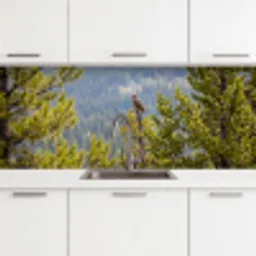 Uil - Oehoe - Bomen - Natuur keuken achterwand 2 middel -3d