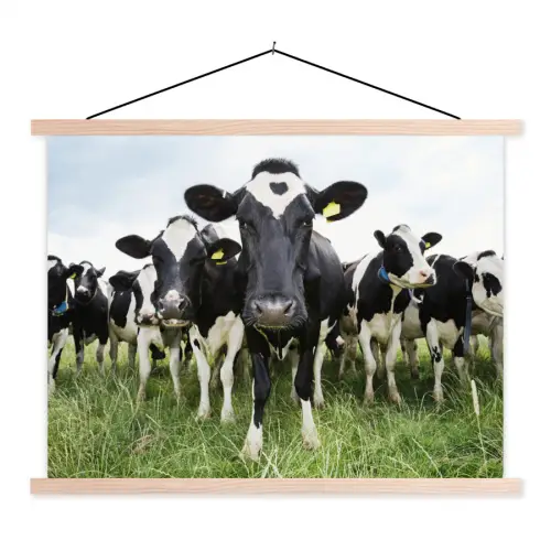 Koeien - Gras - Lente - Dieren - Weiland - Boerderij textielposter latten blank klein -3d