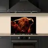 Schotse hooglander - Koe - Hoorns - Portret - Dieren keuken achterwand spatscherm klein -sfeer1