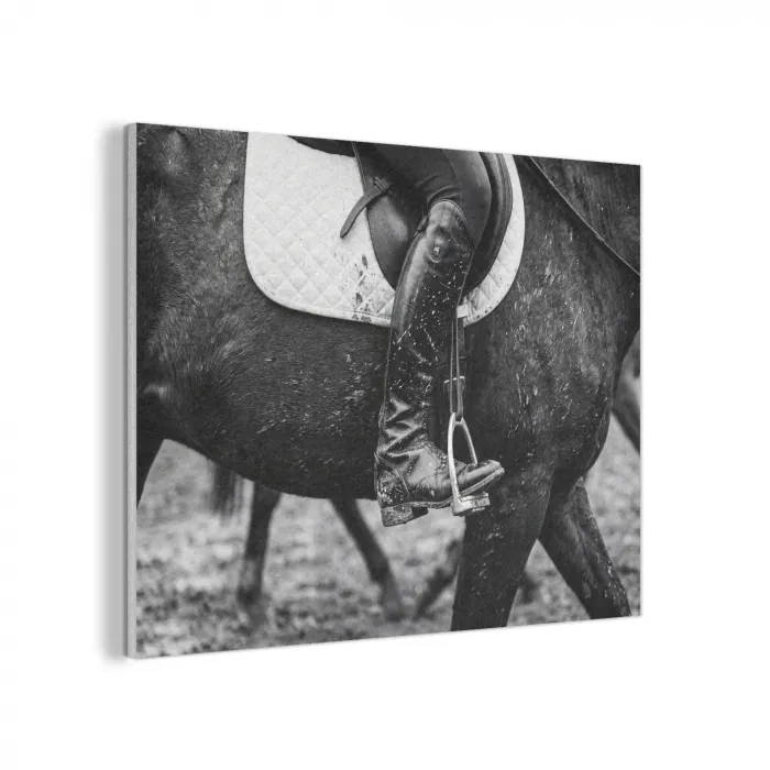Paard - Sport - Zwart - Wit PET vilt klein -3d