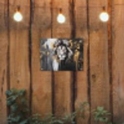 Leeuw - Portret - Verfspatten - Grijs tuinposter los doek klein -sfeer1