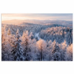 Bos - Bergen - Goud - Winter - Warm poster papier klein -3d
