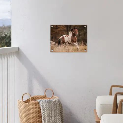 Paard - Bruin - Gras tuinposter los doek klein -sfeer8