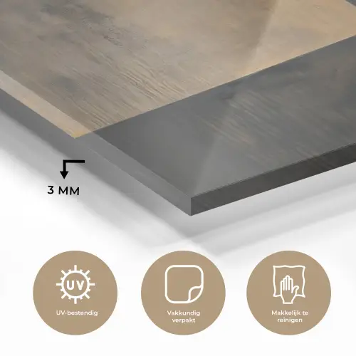 Boom - Vlakken - Takken - Kleurverloop plexiglas 5mm klein -sfeer2