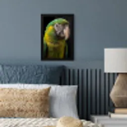 Ara - Portret - Groen fotolijst zwart zonder passe partout klein -sfeer3