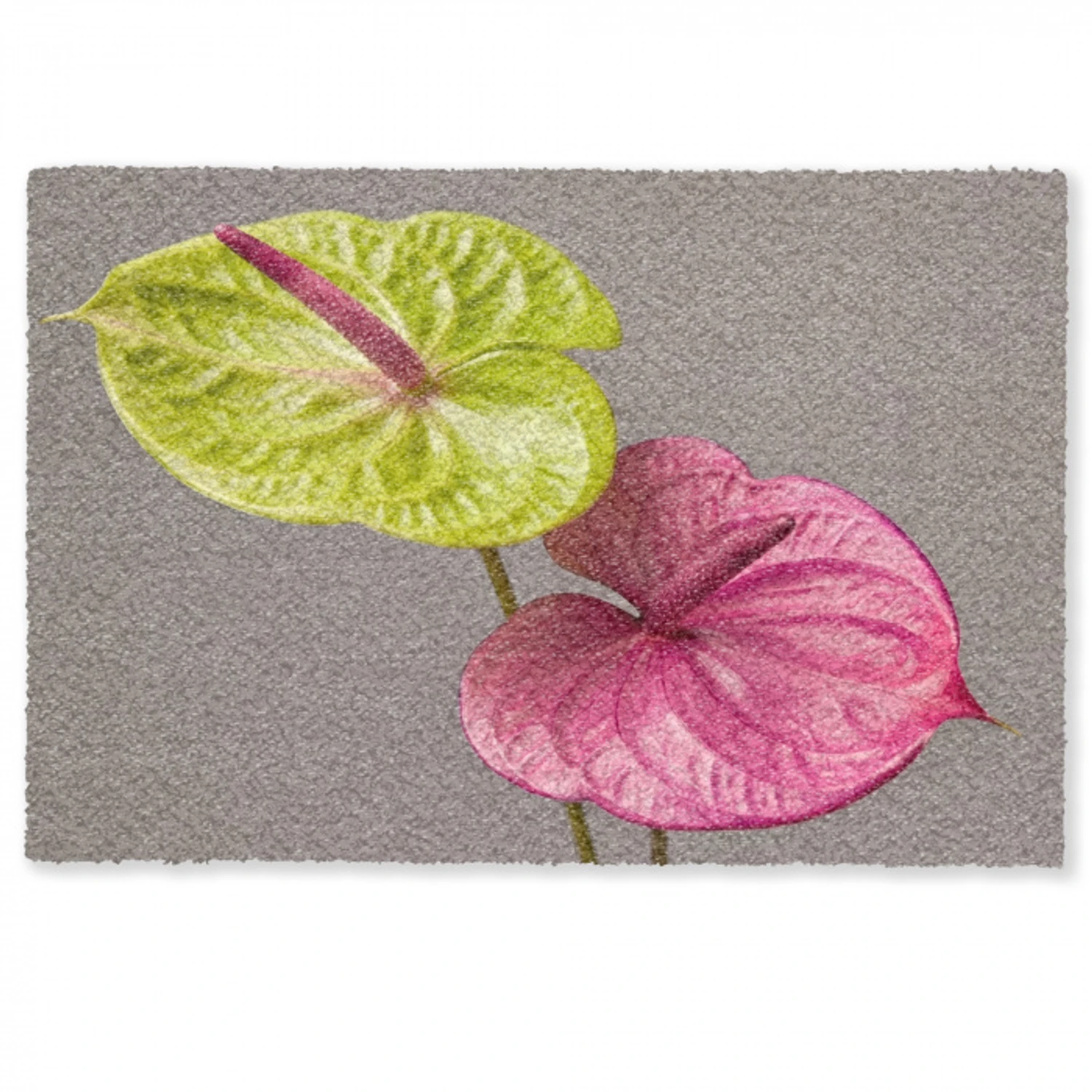 Planten - Anthurium - Groen - Roze Deurmat klein -zkaufland3d