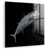 Makreel - Vis - Zwart plexiglas 5mm klein -zzzproduct_nieuw