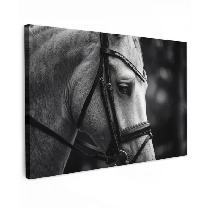 Paard - Schimmel - Portret canvas 2cm klein -z3d
