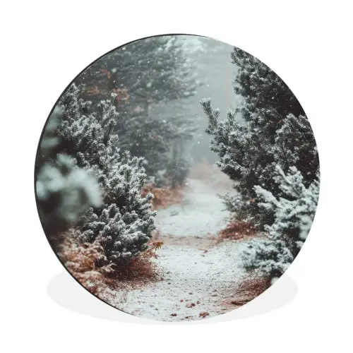 Bos - Winter - Bomen - Natuur - Pad - Sneeuw Wandcirkel aluminium klein -3d