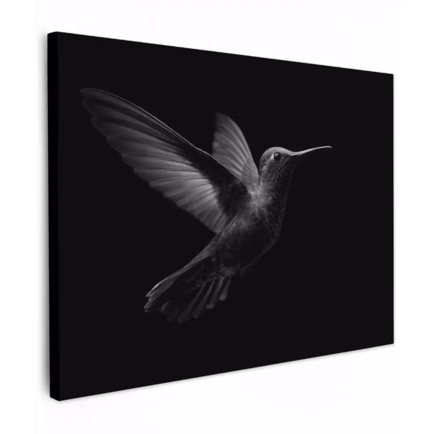 Leinwandbild - Kolibri - Schwarz - Tiere