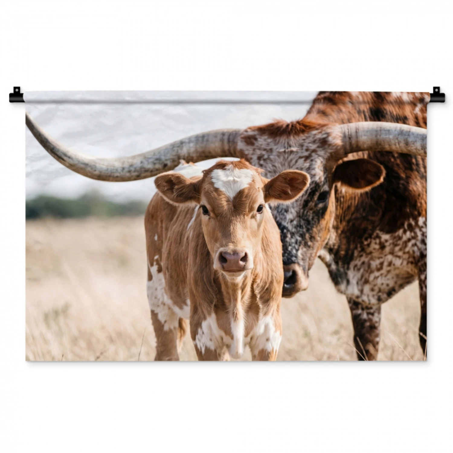Texas Longhorn - Kalf - Weide - Dieren Wandkleed katoen middel -zz3d