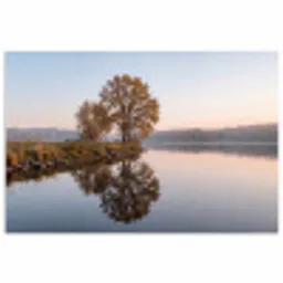 Bomen - Reflectie - Water - Zonsopgang - Serene poster papier klein -3d