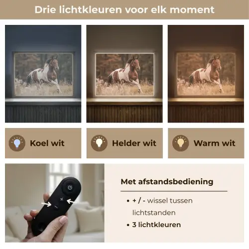 Paard - Bruin - Gras Light Box met batterij (Wandlamp) middel -USP_lichtkleurNL