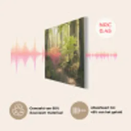 Bos - Bomen - Pad - Zon - Planten - Bladeren - Natuur PET vilt klein -USP_NL