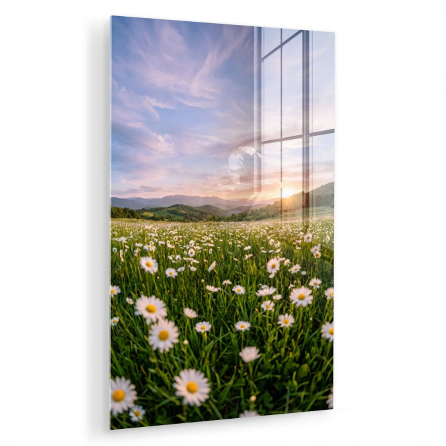 Madelief - Veld - Heuvels - Groen plexiglas 5mm klein -zzzproduct_nieuw