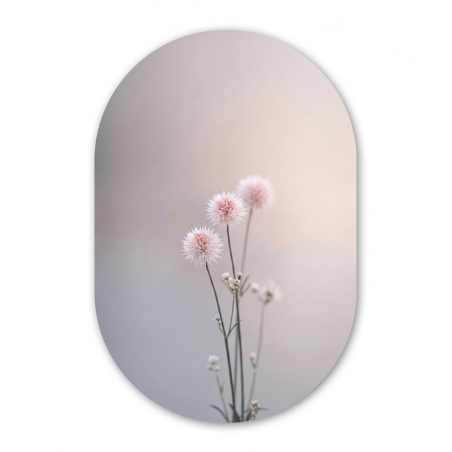 Bloemen - Bollen - Roze Wandcirkel Ovaal Aluminium middel -3d