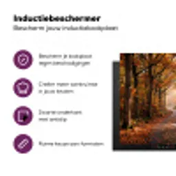 Bospad - Herfstbos - Bladeren - Oranje - Nostalgisch Inductie beschermer vinyl 3mm middel -zzzzzzz-cc-usp