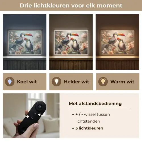 Toekan - Vogels - Bloemen - Jungle Light Box met batterij (Wandlamp) middel -USP_lichtkleurNL