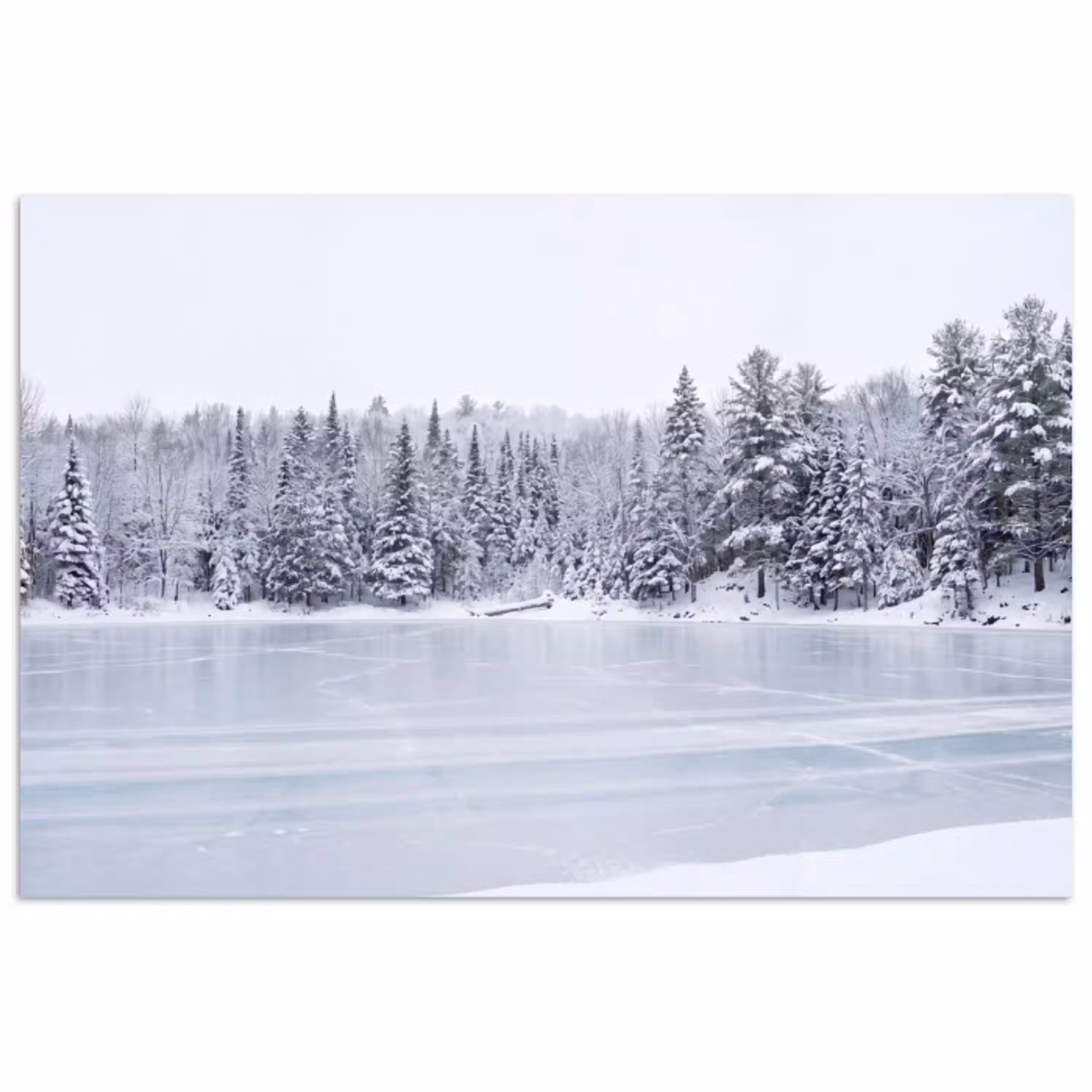 Meer - Dennen - IJs - Winter - Rustgevend poster papier klein -3d