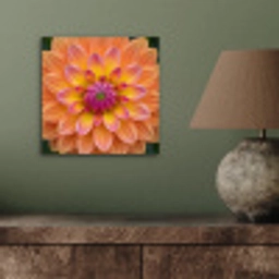 Dahlia - Bloem - Oranje aluminium wit klein -sfeer2