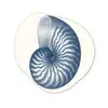 Blauw - Schelp - Spiraal Wandcirkel Organisch Forex 3mm klein -3d