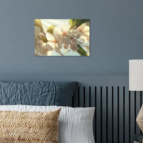 Bloesems - Wit - Zonnestralen -  Bloemblaadjes poster papier klein -sfeer2