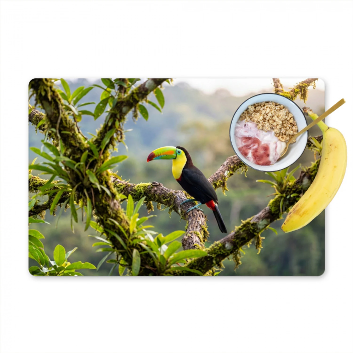 Toekan - Jungle - Natuur - Kleurrijk Placemat vinyl groot -zzzproduct_Kitchenyeah-website