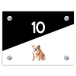 Zwart wit - Huisdier - Engelse bulldog Naambord Rechthoek middel -3d
