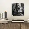 Paard - Schimmel - Portret plexiglas 5mm klein -sfeer1