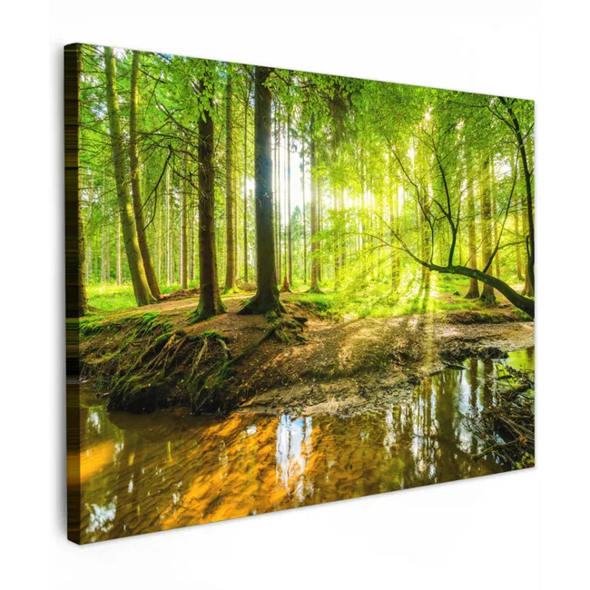 Canvas schilderij - Bos - Landschap - Water - Bomen - Zon - Groen - Natuur