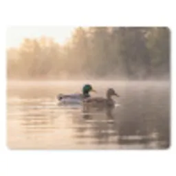 Eenden - Water - Mist - Natuur muismat rubber klein -3d
