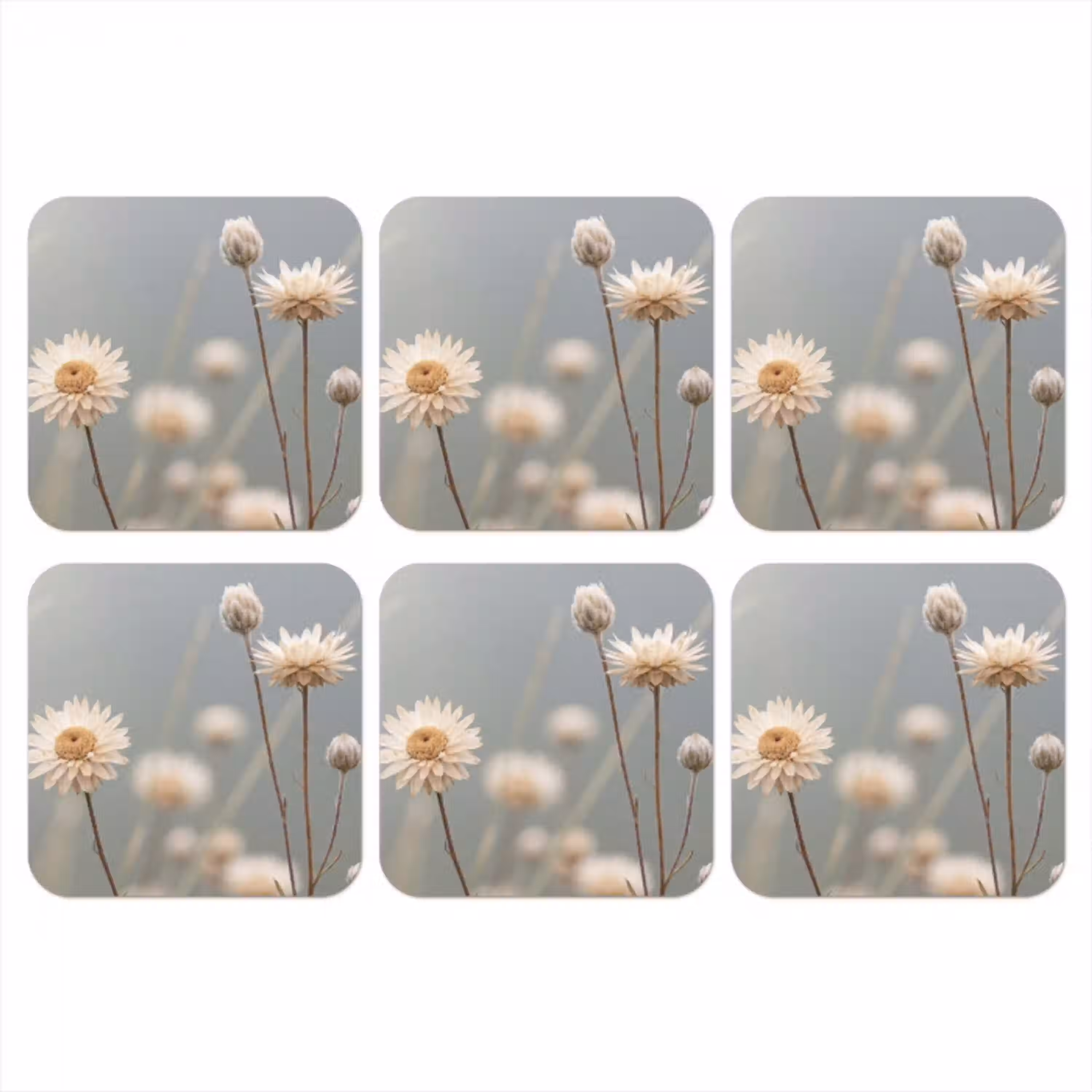 Strobloemen - Wit - Daglicht onderzetter kurk middel -3d