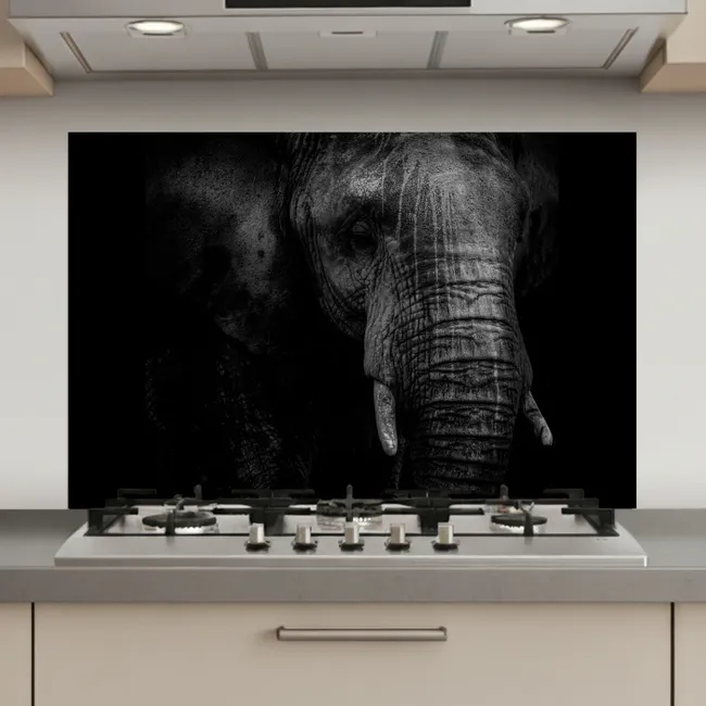 Olifant - Dier - Portret keuken achterwand spatscherm klein -3d_website