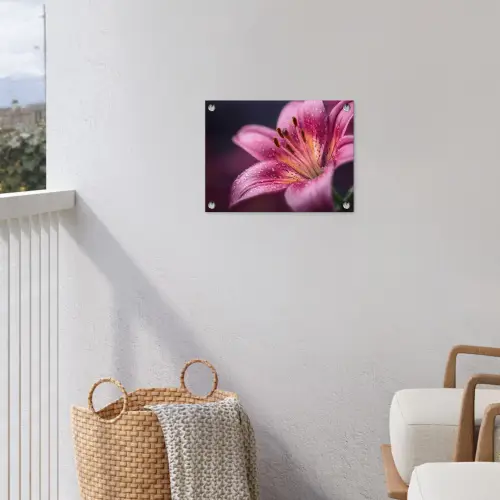 Roze - lelie - Dauwdruppels tuinposter los doek klein -sfeer8