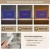Why not - Blauw - Handgeschreven Light Box met kabel (Tafellamp) klein -USP_lichtkleurNL