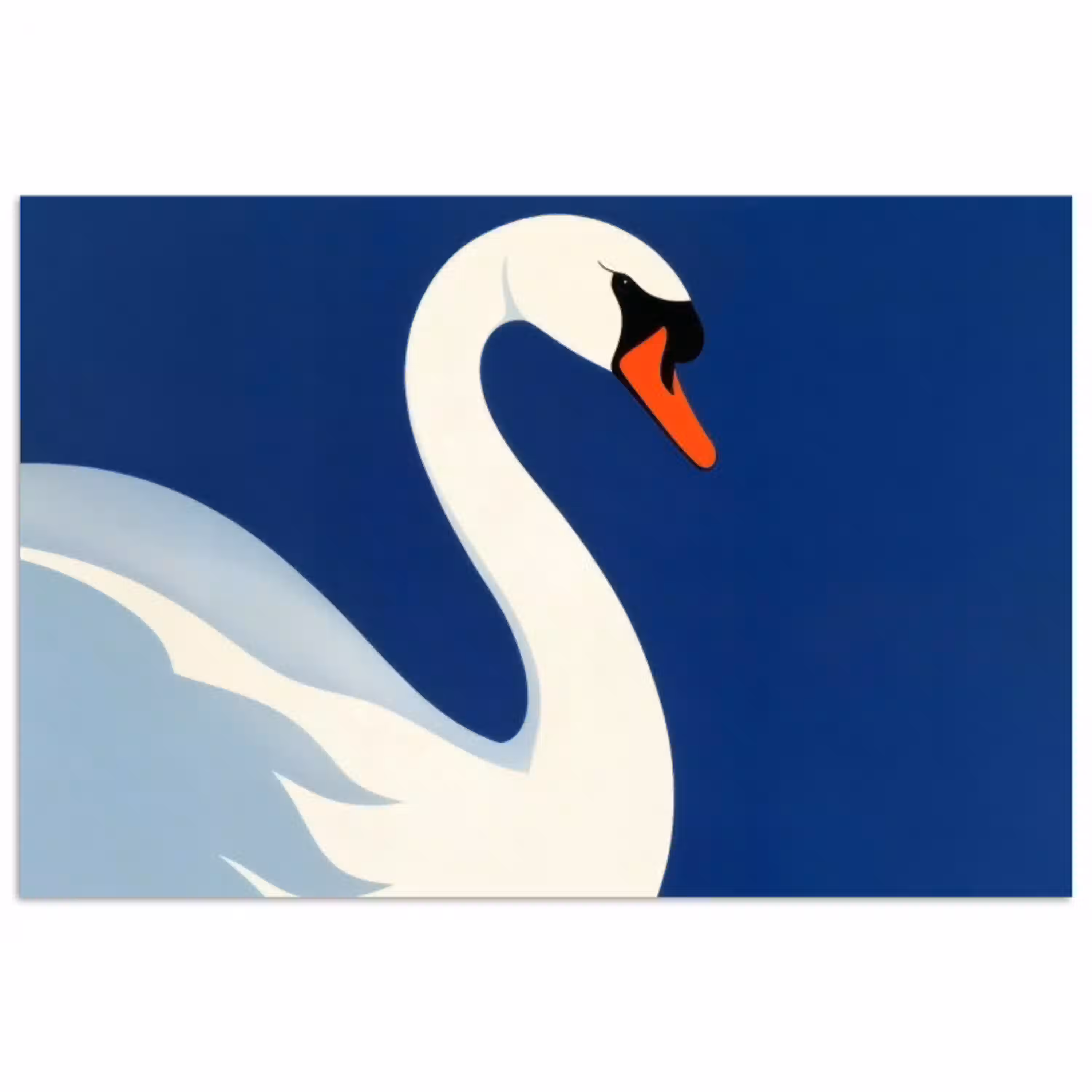 Zwaan - Wit - Snavel - Illustratie poster papier klein -3d