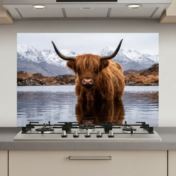 Schotse hooglander - Bruin - Water keuken achterwand spatscherm klein -3d_website