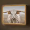 Longhorn - Grasveld - Dier Light Box met batterij (Wandlamp) middel -z3d_website