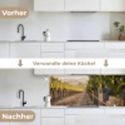 Druiven - Wijngaard - Zonlicht keuken achterwand 2 middel -voor-na_DE