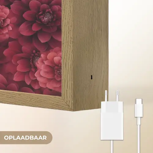 Dahlias - Bloemen - Rood Light Box met batterij (Wandlamp) middel 907 -USP_websiteoplaadbaarNL