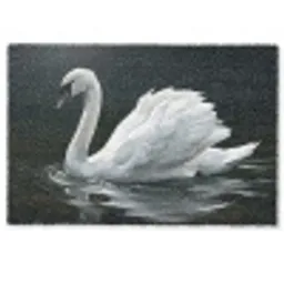 Zwaan - Water - Natuur - Realistisch - Wit Deurmat klein -zkaufland3d