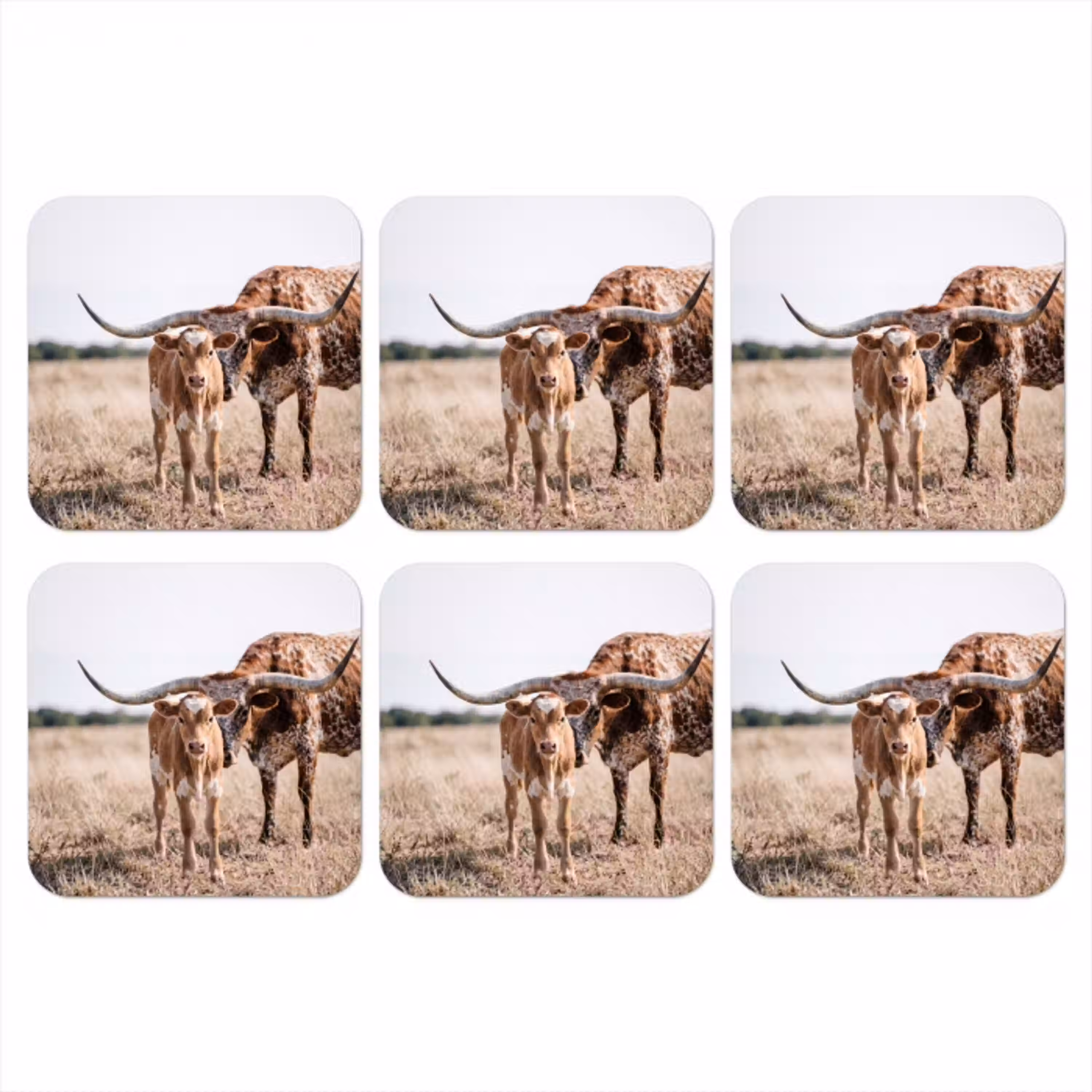 Texas Longhorn - Kalf - Weide - Dieren onderzetter kurk middel -3d